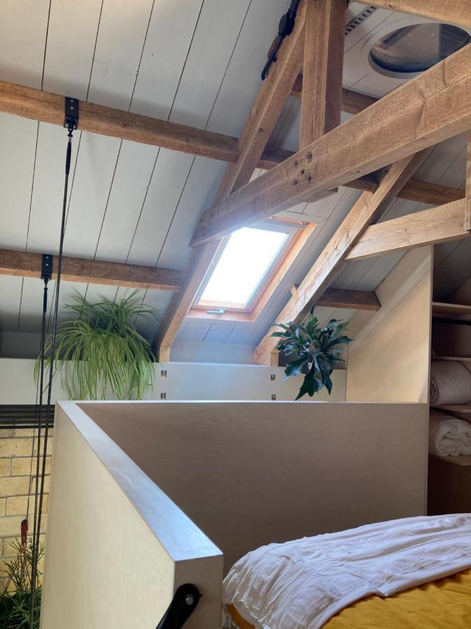 Tiny House Van Hoogspanning Naar Ontspanning Wirdum エクステリア 写真